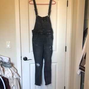 We The Free Skinny Overalls